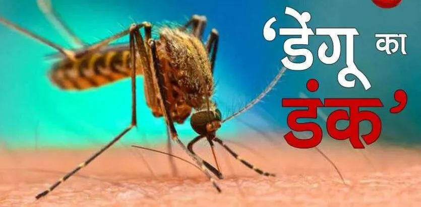 देहरादून: डेंगू के डंक से बचाने को निगम ने कसी कमर