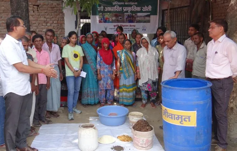 बरेली: किसानों को बताए गए गोआधारित प्राकृतिक खेती के लाभ
