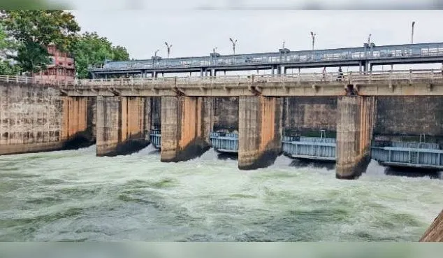 छत्तीसगढ़: धमतरी में अच्छी बारिश से बढ़ा गंगरेल बांध का जलस्तर