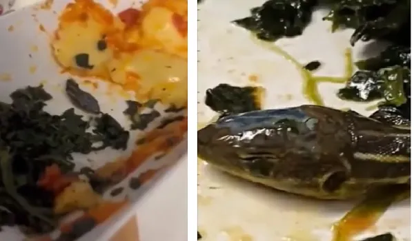 आलू की सब्जी में मिला सांप का कटा हुआ मुंह, वीडियो देख रह जाएंगे हैरान