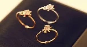 देहरादून: चोरी की अंगूठियों से लिया गोल्ड लोन, चुकता की देनदारी अब जेल में अदा करना होगा ब्याज