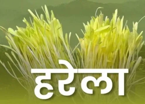 हल्द्वानी: पर्यावरण संरक्षण और प्रेम का प्रतीक हरेला लोक पर्व कल…
