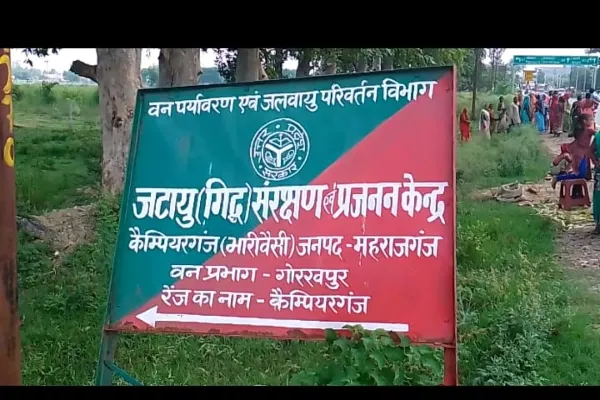 गोरखपुर : देश के पहले जटायु संरक्षण व संवर्धन केंद्र की यहां होगी स्थापना, शुरू हुआ काम