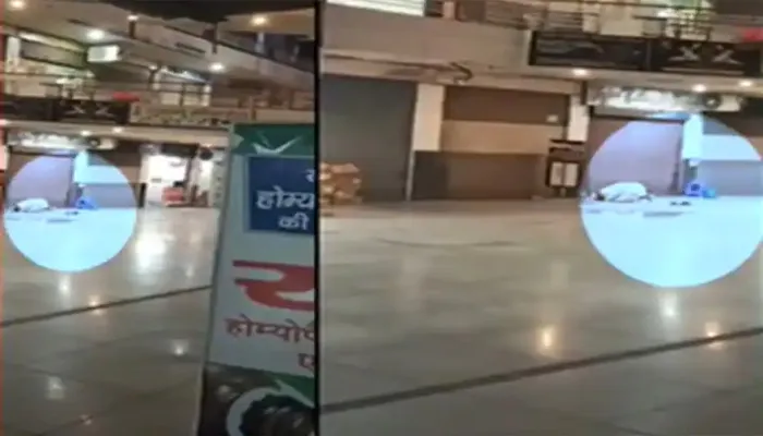 मेरठ: कॉम्पलेक्स के बाहर नमाज पढ़ने का वीडियो वायरल, प्रशासन ने दिए जांच के आदेश