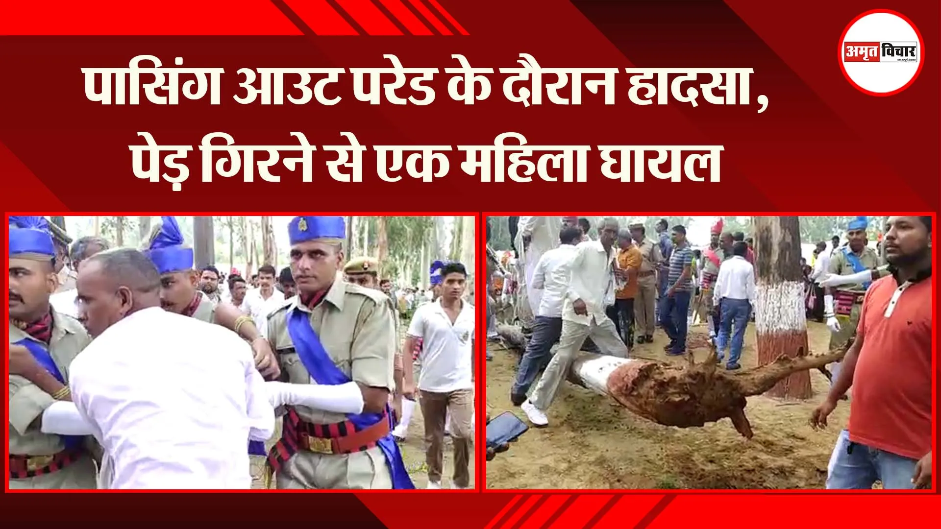 मुरादाबाद: पासिंग आउट परेड के दौरान हादसा, पेड़ गिरने से एक महिला घायल