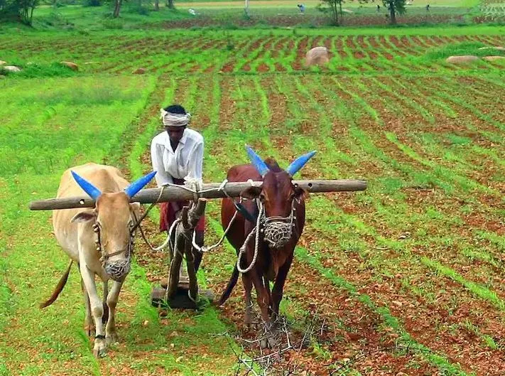 PM Kisan Yojana : जल्द ही मोदी सरकार अन्नदाताओं को देने वाली है ये खुशखबरी