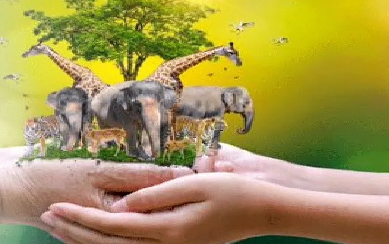 लखीमपुर-खीरी: पूर्व मंत्री ने एनओसी देने के लिए वन्यजीव प्रतिपालक को लिखा पत्र