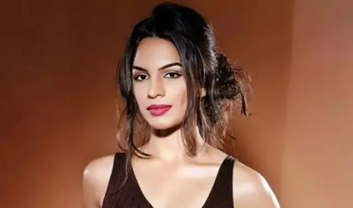 प्रेगनेंसी के बाद Shikha Singh की वापसी, इस शो में भी विलेन का किरदार निभाएंगी