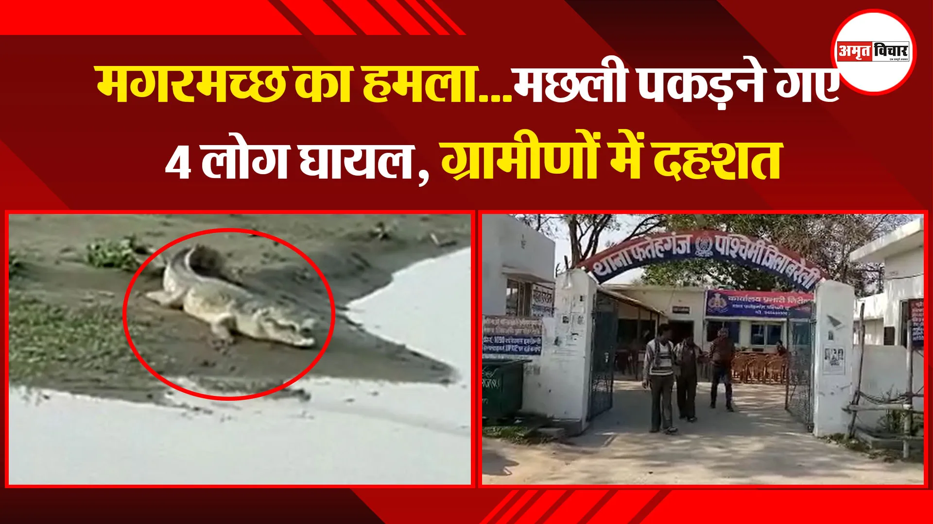 बरेली: मगरमच्छ का हमला…मछली पकड़ने गए 4 लोग घायल, ग्रामीणों में दहशत