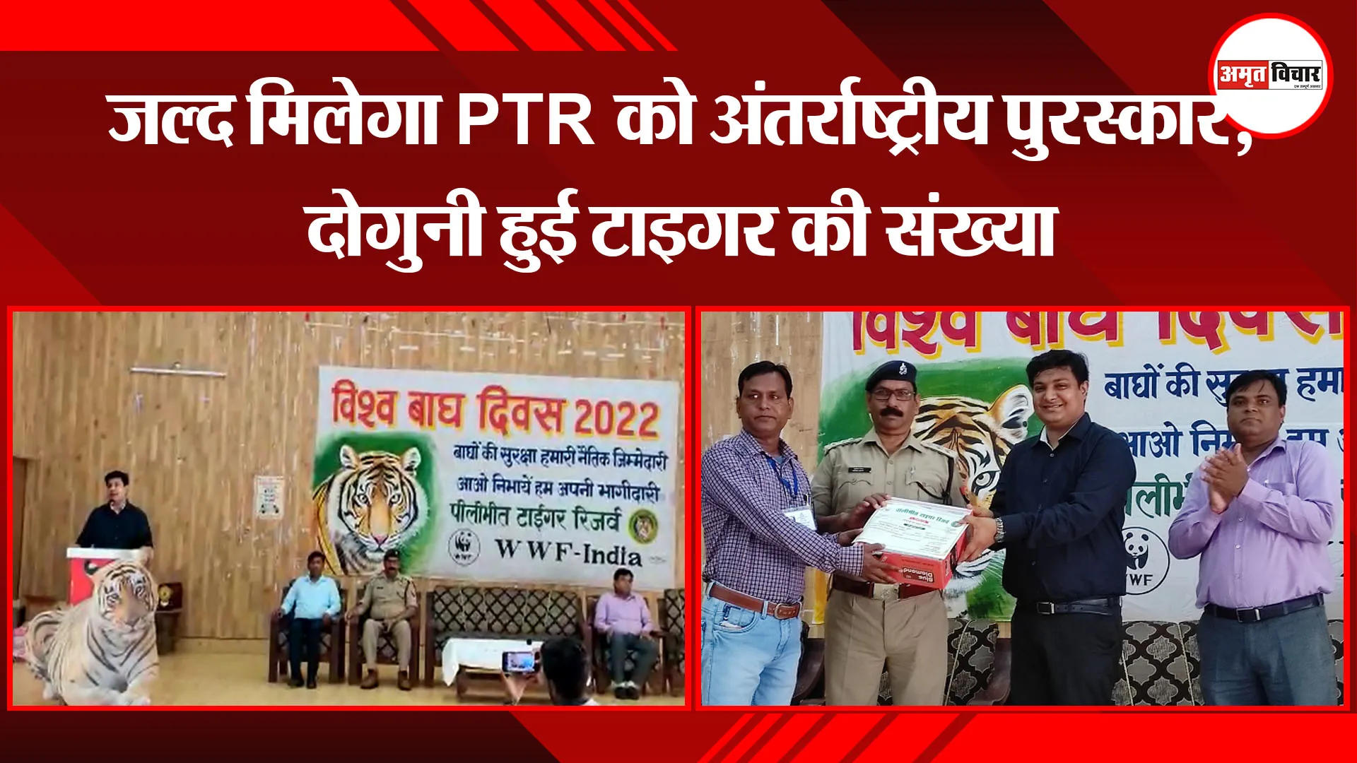 पीलीभीत: जल्द मिलेगा PTR को अंतर्राष्ट्रीय पुरस्कार, दोगुनी हुई टाइगर की संख्या