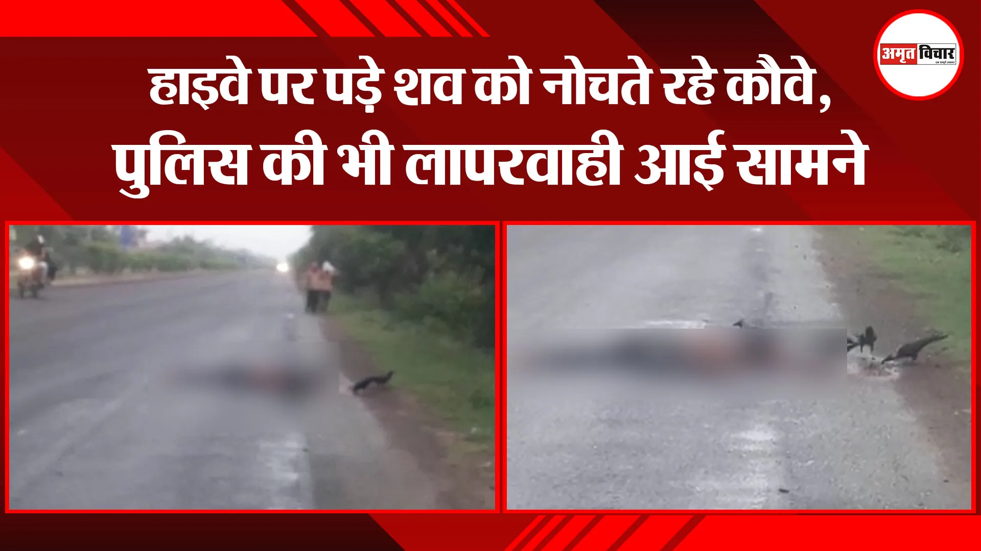 बरेली: हाइवे पर पड़े शव को नोचते रहे कौवे, पुलिस की भी लापरवाही आई सामने