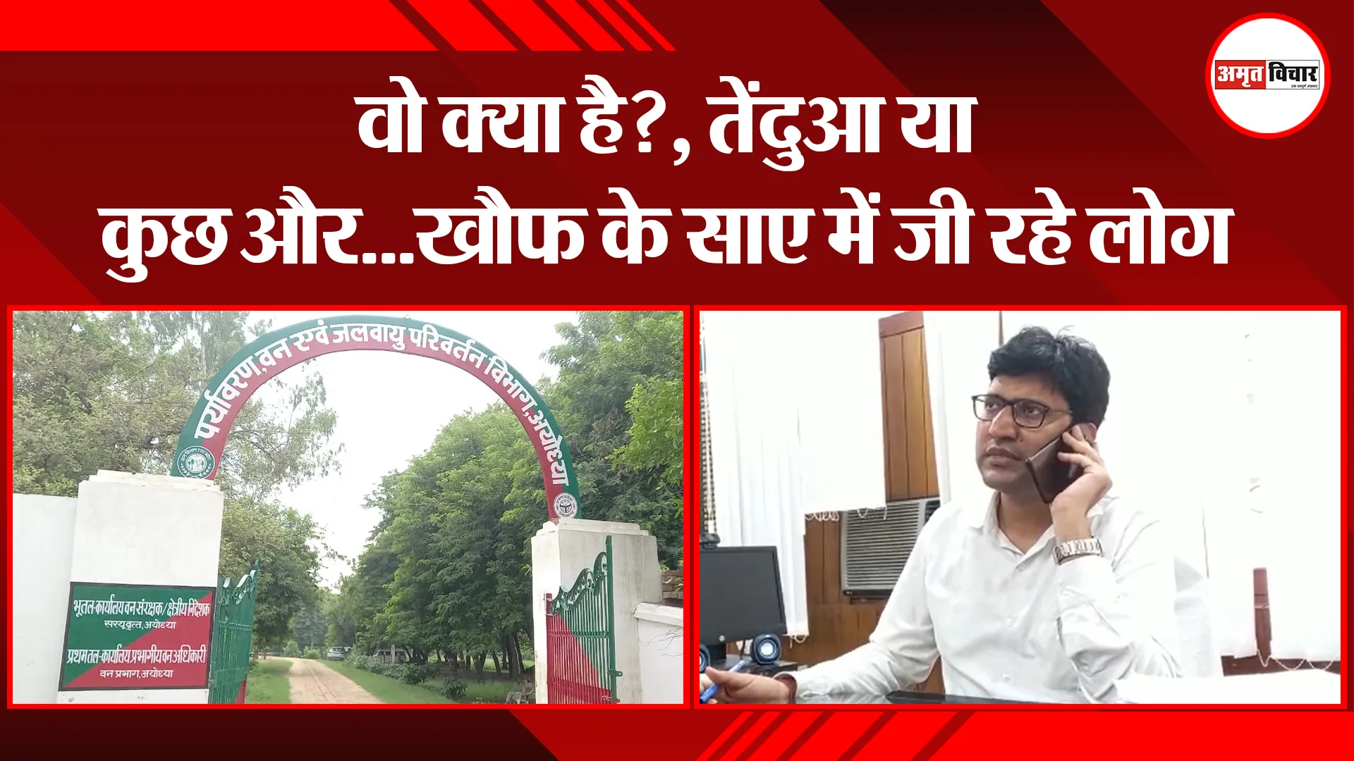 अयोध्या: वो क्या है?, तेंदुआ या कुछ और…खौफ के साए में जी रहे लोग