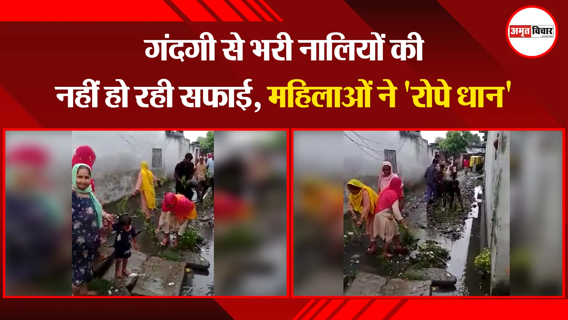 पीलीभीत: गंदगी से भरी नालियों की नहीं हो रही सफाई, महिलाओं ने ‘रोपे धान’