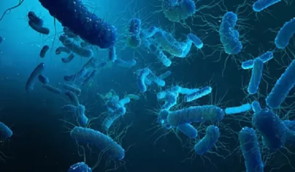 अफगानिस्तान में हैजा से 20 बच्चों की मौत, 120 से अधिक बच्चे संक्रमित