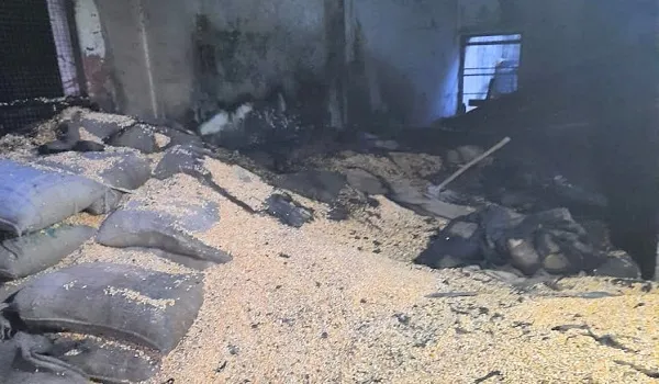 संभल : शार्ट सर्किट से लगी आग में गेहूं और मक्का जली