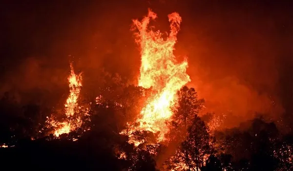 America : कैलिफोर्निया में जंगल में लगी भीषण आग, हजारों लोगों को घर छोड़ने का आदेश