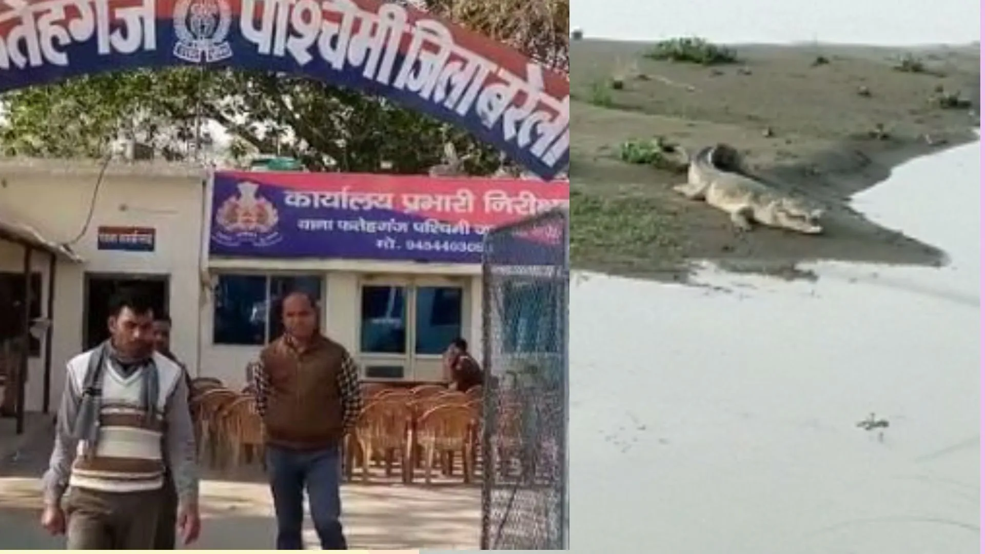 बरेली: चार ग्रामीणों पर मगरमच्छ ने किया हमला, दहशत में लोग, देखें Video