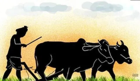 गरमपानी: मुआवजे के इंतजार में पथरा गई किसानों की आंखें, नहीं हो सकी नुकसान की भरपाई