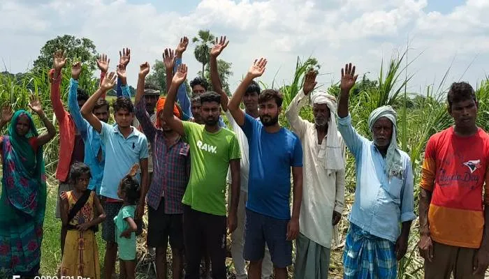 बहराइच: जंगली हाथियों ने बर्बाद किये गन्ने व गेहूं की फसल, नाराज ग्रामीणों ने किया प्रदर्शन