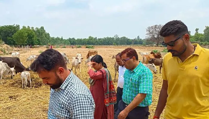 हरदोई: आश्रय स्थल में गोवंशो के मरने से हड़कंप, सूचना मिलते ही पहुंची एडीएम ने जताई नाराजगी
