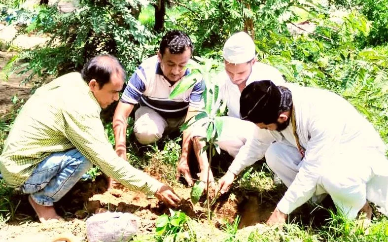 बरेली: उर्स-ए-खालिद-ए-मिल्लत के मौके पर किया गया पौधारोपण