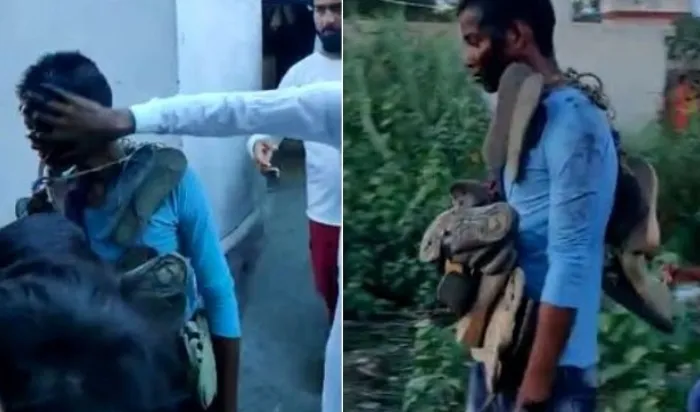 महाराजगंज: छेड़खानी करना युवक को पड़ा महंगा, गुस्साए ग्रामीणों ने चेहरे पर पोती कालिख