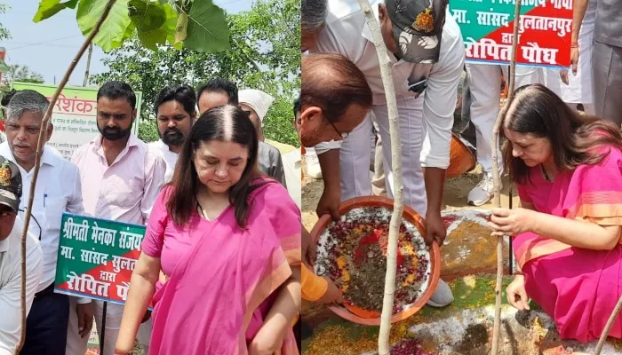 सुल्तानपुर: सांसद ने पौधा लगाकर किया वन महोत्सव कार्यक्रम का शुभारम्भ