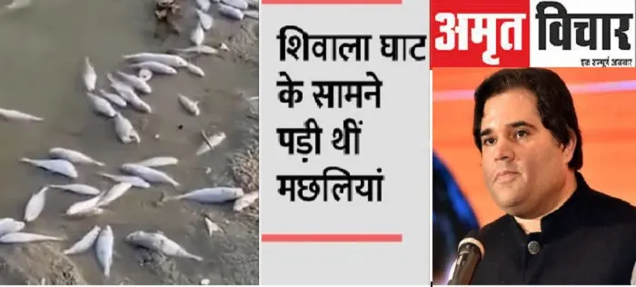 वाराणसी : वरुण गांधी ने गंगा में मरी मछलियों पर जताई चिंता, मांगा जवाब