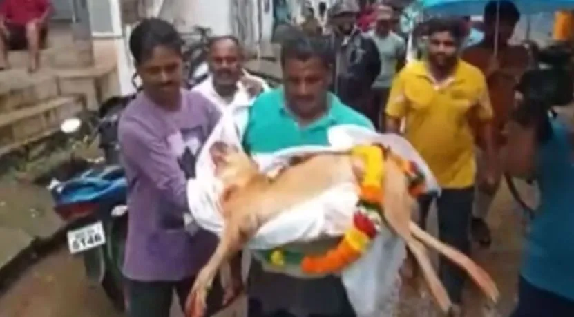 ढोल बजवाकर धूमधाम से निकाली पालतू कुतिया की अंतिम यात्रा, देखें Video