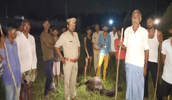 मुरादाबाद : तेंदुए ने युवक पर किया हमला, राहगीरों ने बचाई जान