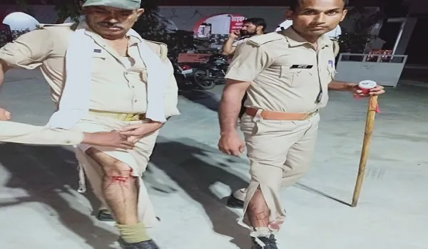 बिजनौर: दो माह की बछिया को उठा ले गया गुलदार, दो होमगार्ड समेत चार घायल