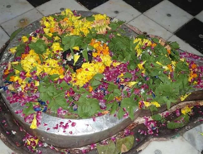 Ashwathama Per day worshiped in khereshwar mandir at shivrajpur Kanpur Jagran Special - Mahashivratri 2020 : पट खुलते हैं तो शिवलिंग पर चढ़ा मिलता है सफेद फूल, रात में आते हैं अश्वस्थामा