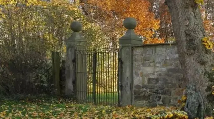 इस शानदार Photo में छुपी है खूबसूरत मॉडल, ढूंढो तो जानें… उतना आसान नहीं, जितना आप सोच रहे!