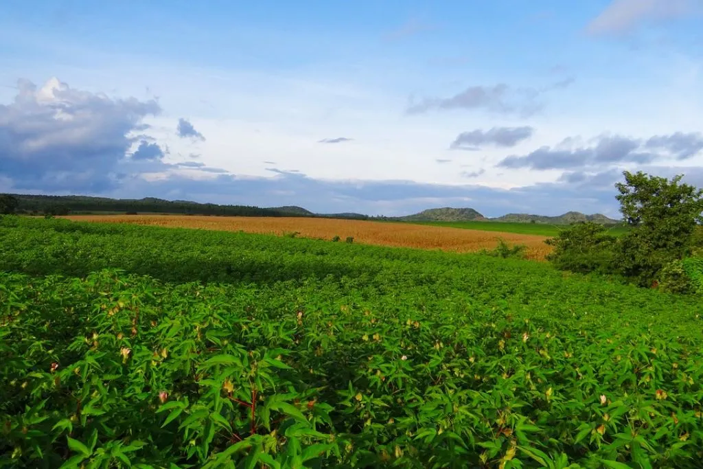 The Story of Hiware Bazar, An Indian Village with 60 Millionaires
