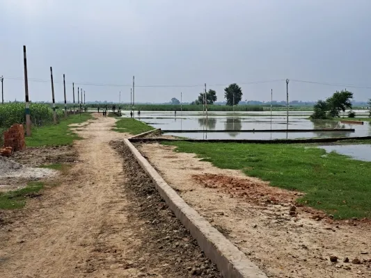 अयोध्या : जिले में जमकर चल रहा है अवैध प्लॉटिंग का खेल, जमीन खरीदने से पहले जरूर पढ़ लें यह खबर