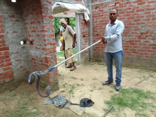 बहराइच : ग्रामीण के घर में निकला किंग कोबरा, मचा हड़कंप