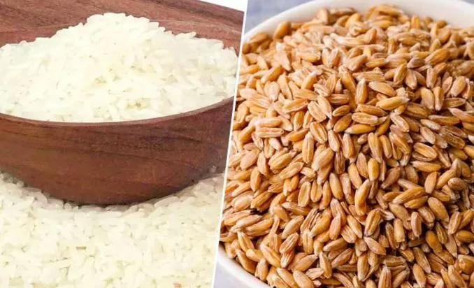 बरेली: गेहूं और चावल अब मुफ्त नहीं, चुकानी होगी कीमत, आदेश जारी