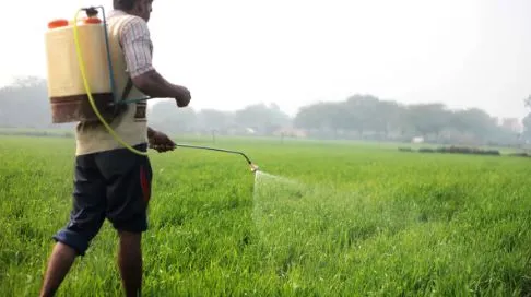 खेत में कीटनाशक दवा का छिड़काव करते दो किसानों की मौत, गांव में पसरा मातम