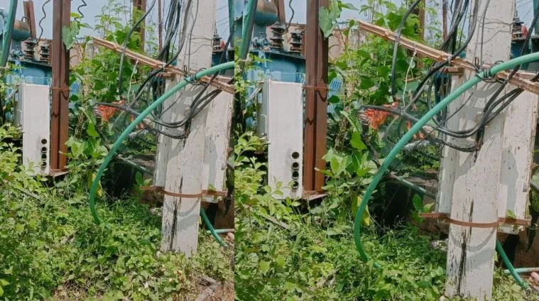 पीलीभीत: ओवरलोड ने बढ़ाई मुसीबत, फॉल्ट से बिजली गुल, उपभोक्ता परेशान