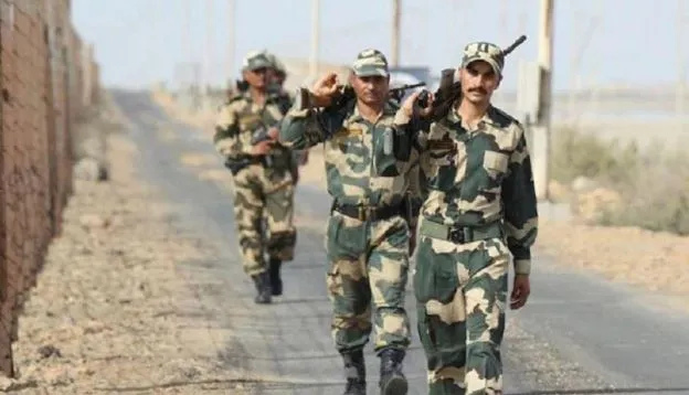 बीएसएफ ने LoC पर घुसपैठ को किया नाकाम, एक पाकिस्तानी नागरिक गिरफ्तार