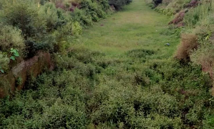 बरेली: नदियों का जल स्तर कम होने से सिंचाई प्रभावित, सूखे की मार झेल रही फसलें