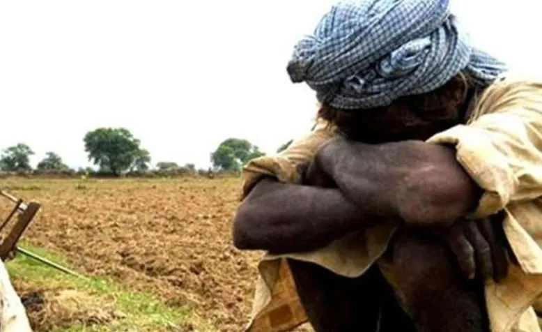 बरेली: किसानों के आगे सूखे का संकट, धान, उड़द की फसल को भारी नुकसान