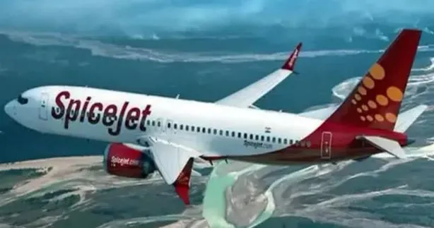 डीजीसीए ने स्पाइसजेट के पायलट का लाइसेंस छह महीने के लिए किया निलंबित, जानें वजह
