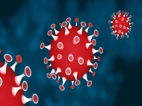 आगरा : 24 घंटे में कोरोना के 80 मरीज मिलने से हड़कंप