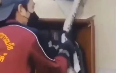 Viral Video: कमरे की सीलिंग में छुपकर बैठा अजगर, निकालने में रेस्क्यू टीम के छूटे पसीने, वीडियो देख आप के भी उड़ जाएंगे होश