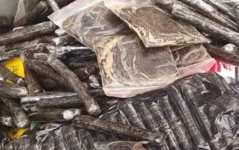 बागेश्वर: सात किलो चरस समेत दो गिरफ्तार