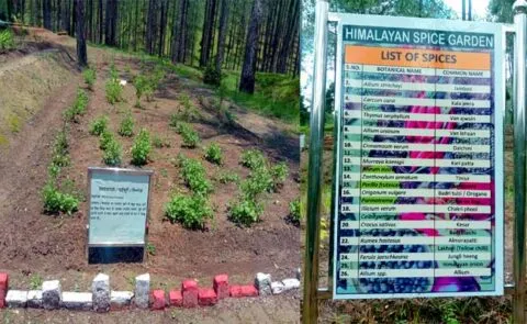 उत्तराखंड के रानीखेत में तैयार हुआ देश का पहला हिमालयन स्पाइस गार्डन, जानें क्यों है ये खास