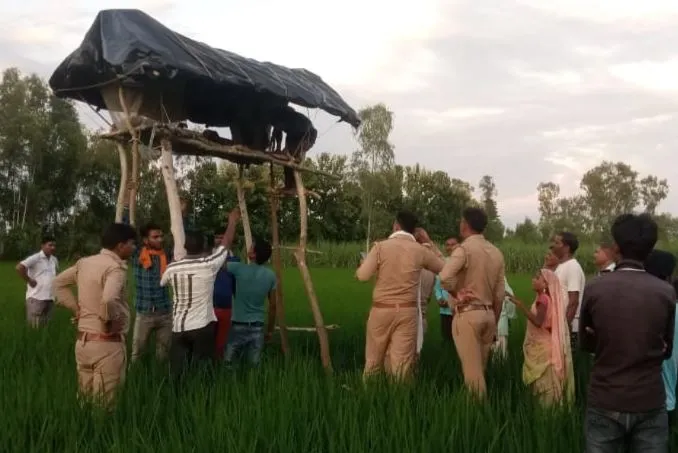 पीलीभीत: फसल की रखवाली कर रहे मजदूर की संदिग्ध हालात में मौत, परिवार में मचा कोहराम