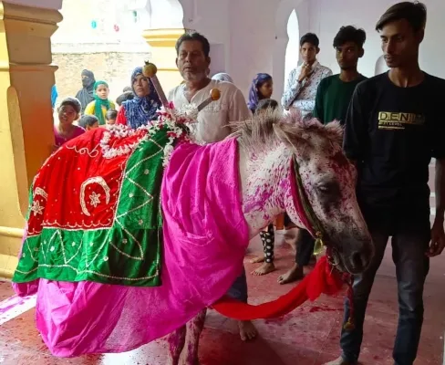 हरदोई : दुलदुल और अग्गासी अलम के जुलूस में शामिल हुए हुसैनी
