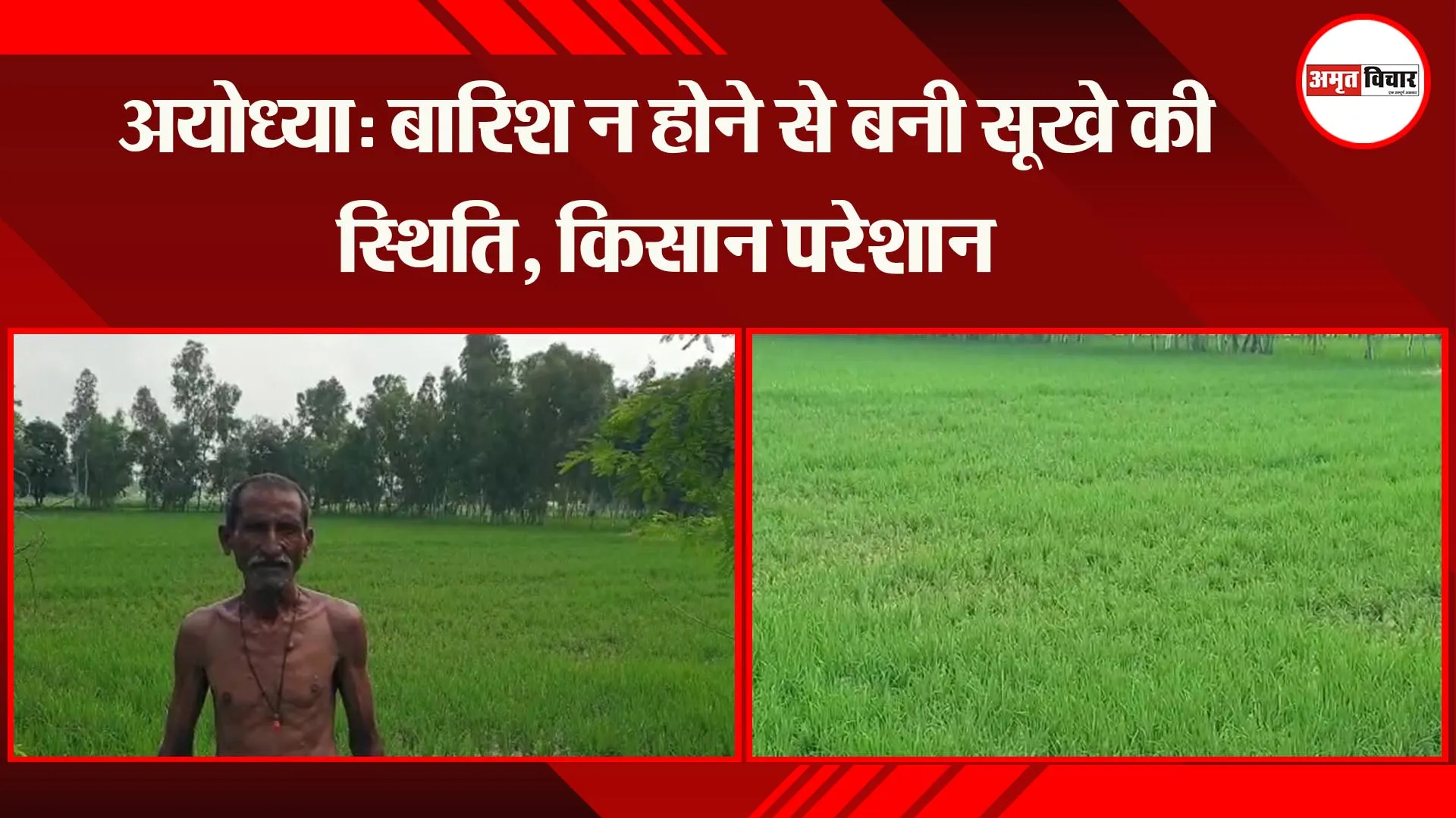 अयोध्या: बारिश न होने से बनी सूखे की स्थिति, किसान परेशान